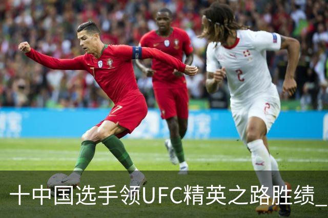 十中国选手领UFC精英之路胜绩 王聪获UFC合同
