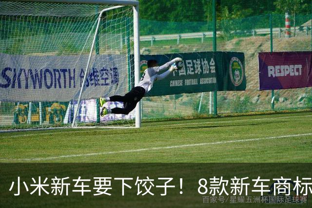 小米新车要下饺子！8款新车商标曝光：SU8、SU9全来