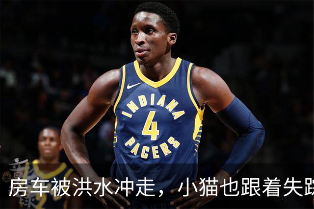 房车被洪水冲走，小猫也跟着失踪，8天后它突然回家了，全家人都哭了