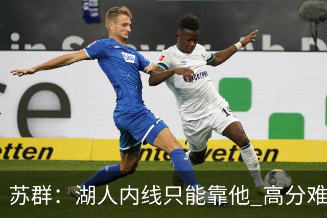 苏群：湖人内线只能靠他 高分难掩隐患