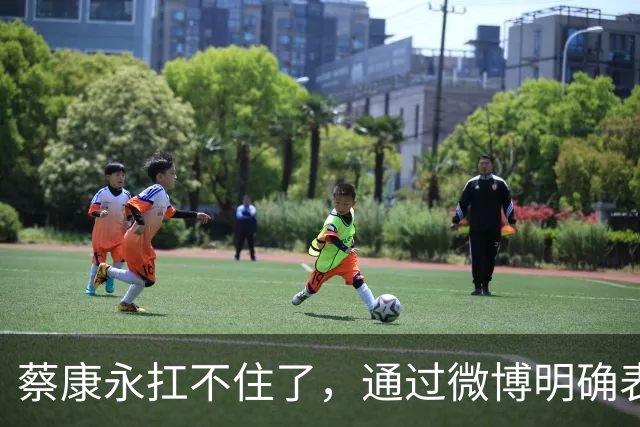 蔡康永扛不住了，通过微博明确表态：“我没有支持过台独”，并解释了相关争议