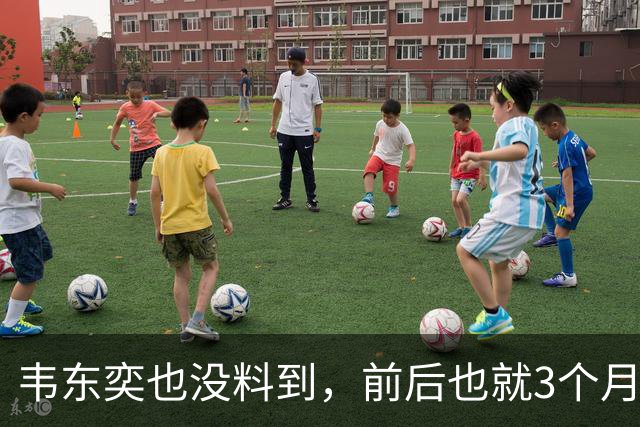 韦东奕也没料到，前后也就3个月，王虹竟再向学术界亮出“王牌”